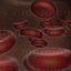 bloodcell